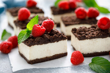 Chocolate cube cake, sliced brownie cheesecake with fresh raspberry