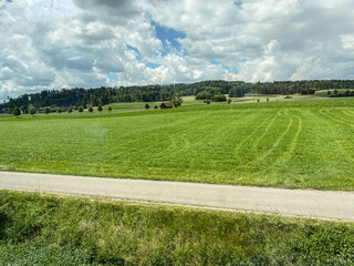 Obraz premium Crop field