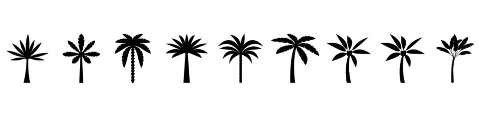 Fototapeta na wymiar Palm tree icon vector set. beach illustration sign collection. botanical symbol. aloha logo.