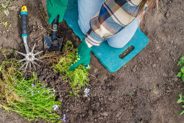 Woman in casual clothes is planting organic green plants in her vegetable garden. Sustainable lifestyle concept.Shooting from above