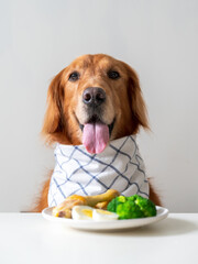 Golden Retriever and food on the table
