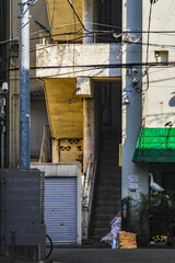 Fototapeta na wymiar 東京六本木4丁目の街の風景