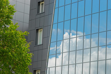 Fototapeta na wymiar Reflection of the blue sky with clouds in the glass of a modern building. Green foliage of a tree in the foreground.