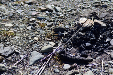 河原に残された焚火跡