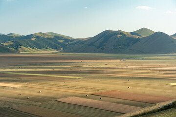Piana di Castelluccio d'Orcia