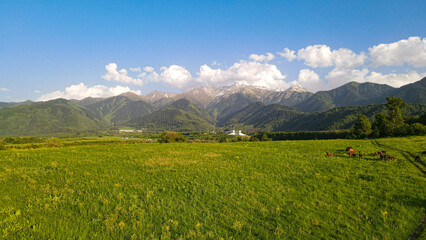 alpine meadow in the mountains