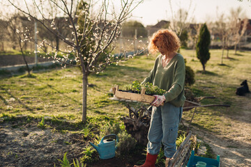 woman gardening in her backyard garden