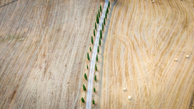 Agriturismo Baccoleno