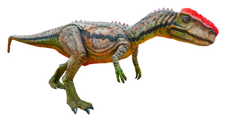 Fototapeta premium Monolophosaurus is a carnivore genus of tetanuran theropod dinosaurs from the Middle Jurassic. Monolophosaurus is isolated on a white background with a clipping path.