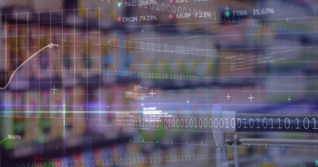 Image of data processing over trolley in shop