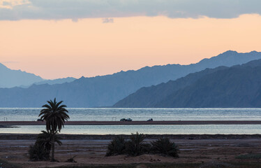 Beautiful sunset with orange sky in Lagoona beach, layered Sinai mountains, a palm tree on the beach and some cars on the coast. Dahab, Egypt