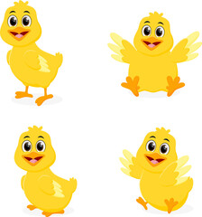 funny baby chick set with different poses isolated on white background
