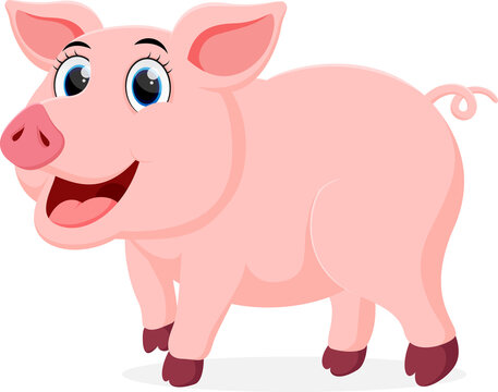 Cute Pig cartoon, isolated on white background