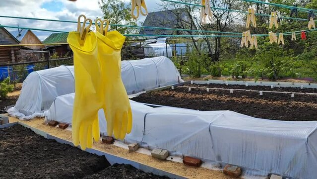 Yellow gloves hang on a rope against the background of the garden beds