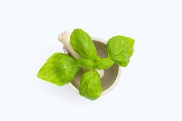 Basil leaves on white background.