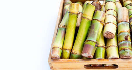 Sugar cane on white background.