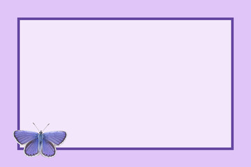 fioletowa ramka z motylem