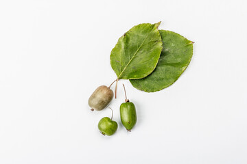 Ripe Actinidia arguta or kiwi isolated on white background