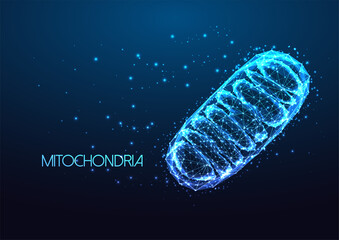Futuristic mitochondria eukaryotic organelle in glowing low polygonal style isolated on dark blue - obrazy, fototapety, plakaty