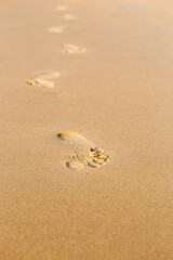 Foot print on fine sandy beach, nature concept, relaxing by the sea