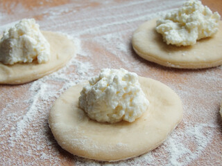 cooking. Dumplings with cheese. Ready for cooking dumplings with cottage cheese.