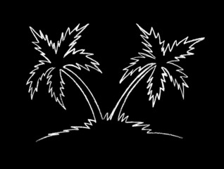 white outline of a palm tree on a black background