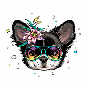 Cute cartoon chihuahua puppy with exotic flower . Summer illustration. Stylish image for printing on any surface	