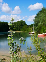 Small peaceful cove to moor his boat.