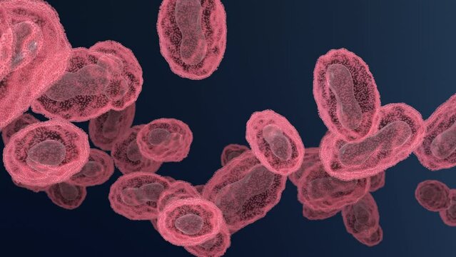 Pox, monkeypox, smallpox or poxviridae virus flow loop, 3d animation