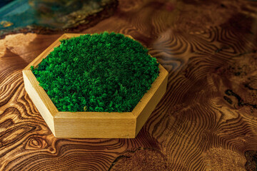 Stabilized moss in a hexagonal wooden box stands on an epoxy resin table. Eco-friendly interior...