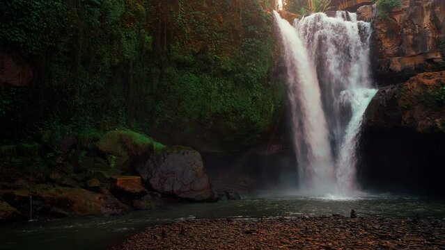 Beautiful waterfall hidden in tropical rainforest jungle on nature background 4K