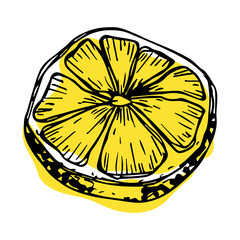 Vector lemon clipart. Hand drawn citrus icon. Fruit illustration. For print, web, design, decor, logo.