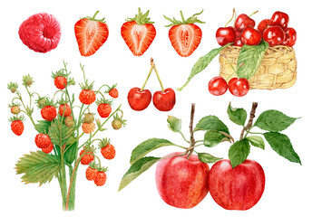 Watercolor set of red apples, strawberries, cherries, raspberry isolated on white background.