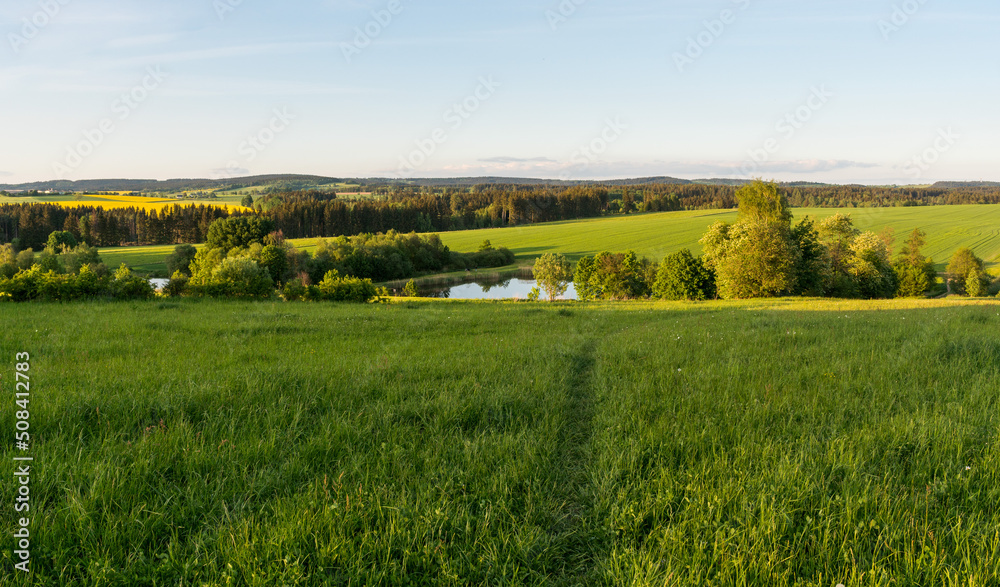 Wall mural czech highlands landscape with many forests, meadows, ponds and trees