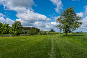 Czech highlands landscape with many forests, meadows, ponds and trees