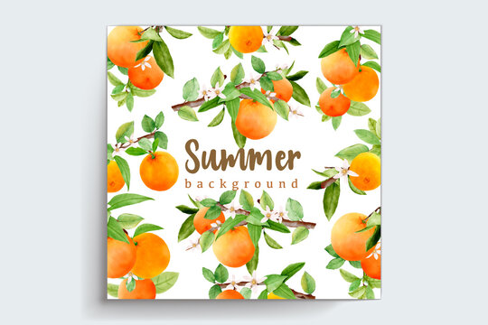 hand drawn watercolor orange fruit frame and wreath design