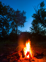 closeup camp fire burning on forest glade at the twilight