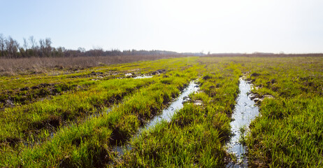 flooded rural road among green meadow at sunny day, rural countryside scene