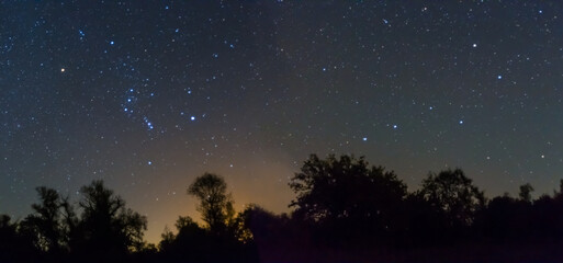 dark forest silhouette on night starry sky background