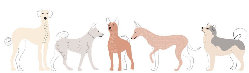 dogs doodle sketch, outline, isolated, vector