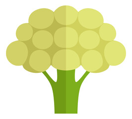 Cauliflower icon. Healthy diet vegetable food symbol