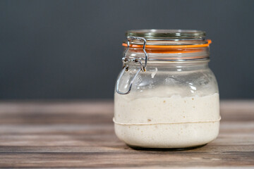 Sourdough starter