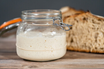 Sourdough starter