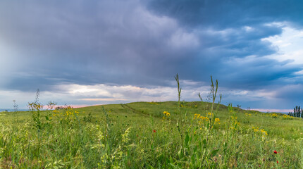 Fototapeta na wymiar Green grassy hill at sunset. Dramatic sky after rain