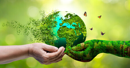 A world that is collapsing and disintegrating the concept of environmental conservation.