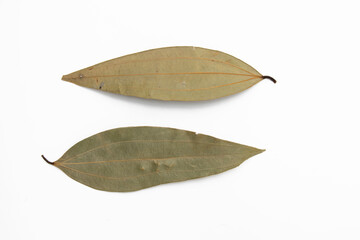 Dry bay leaves isolated on white background