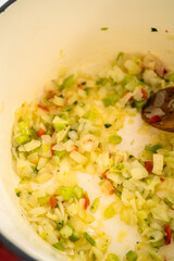 Chicken Noodle Soup