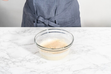 Macaroni Salad with Chicken