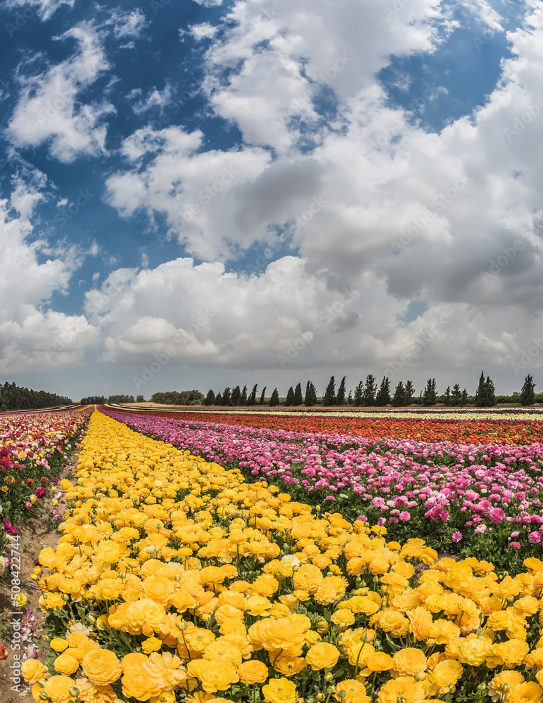 Poster windy spring day in the kibbutz