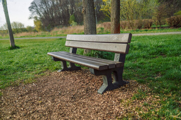 Wood bench in the spring city park outdoors. beautiful empty morning scenery